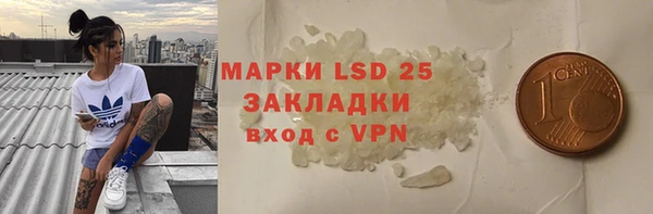 гашик Дмитриев