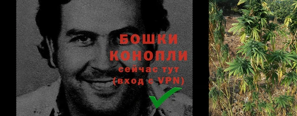 гашик Дмитриев