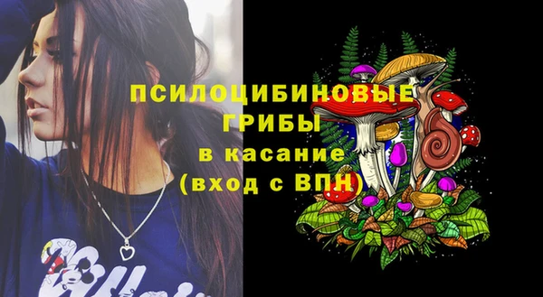 mdma Дмитров