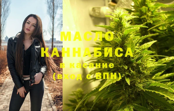 гашик Дмитриев